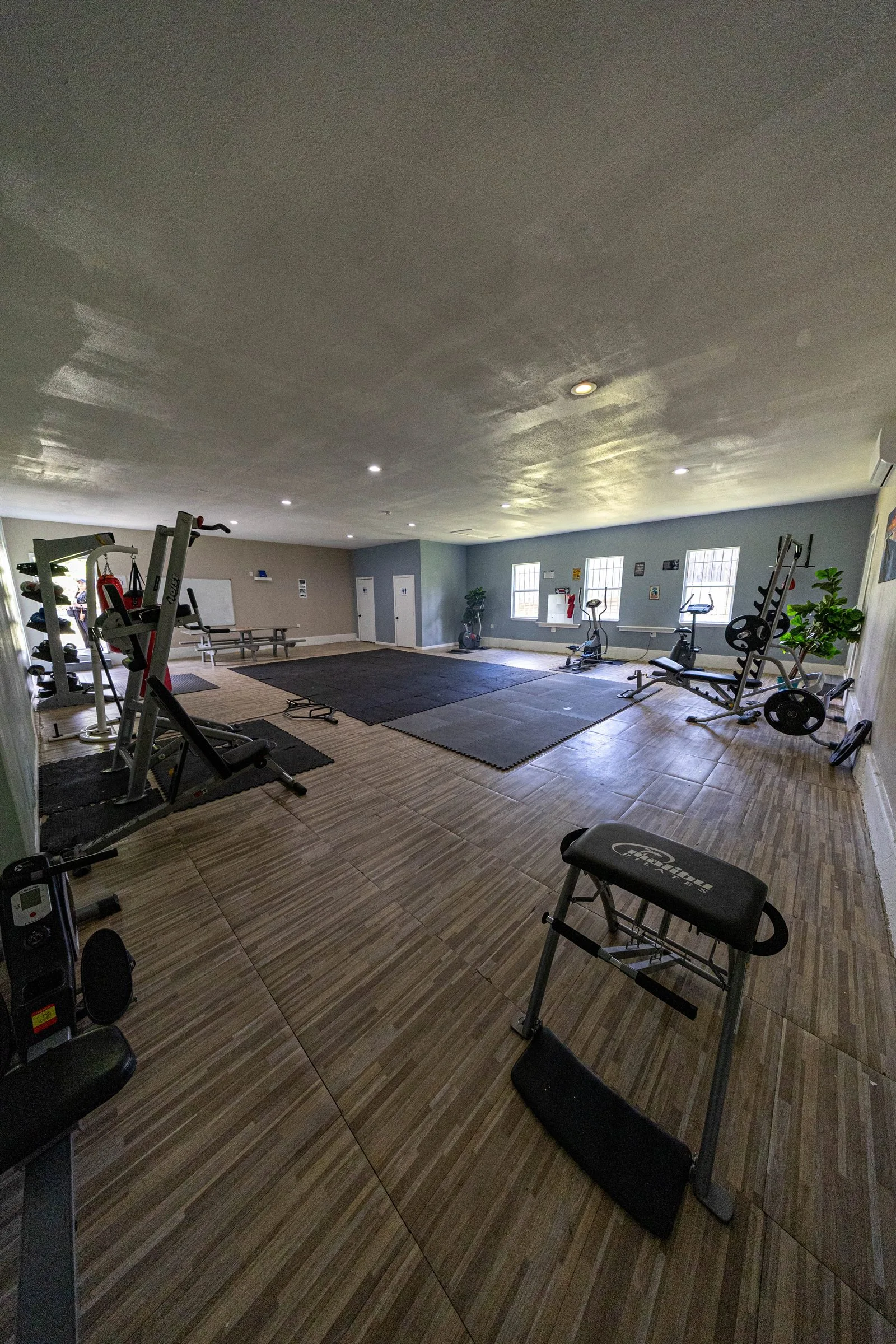 Gym and dance studio